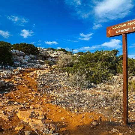 Sea Pearl Beachfront - Anemone