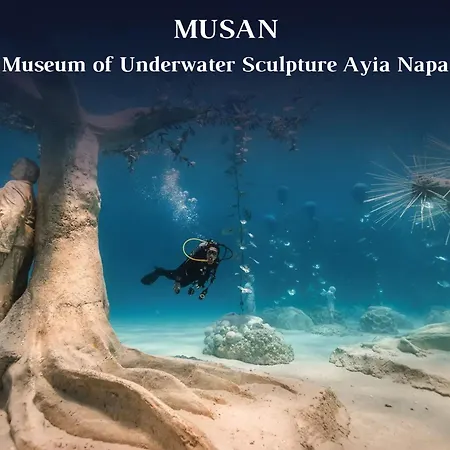 Villa Sea Pearl Beachfront - Anemone *