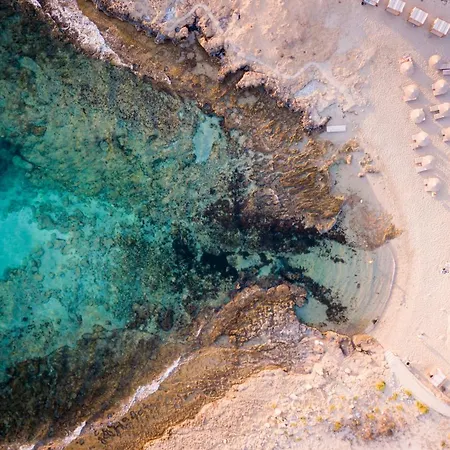 Sea Pearl Beachfront - Anemone