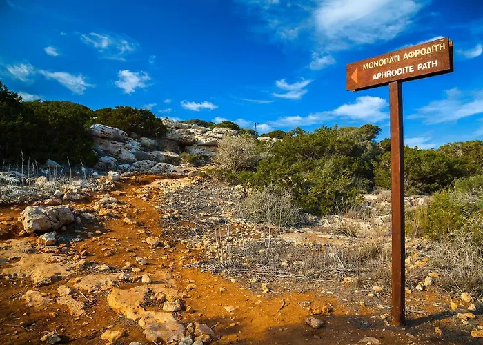 Sea Pearl Beachfront - Anemone