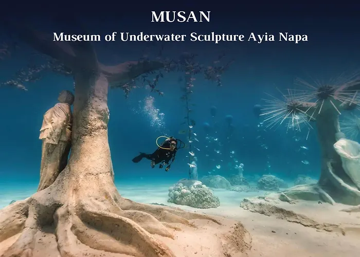 Vila Sea Pearl Beachfront - Anemone *