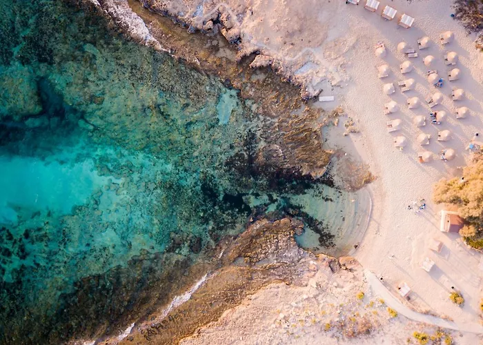 Sea Pearl Beachfront - Anemone